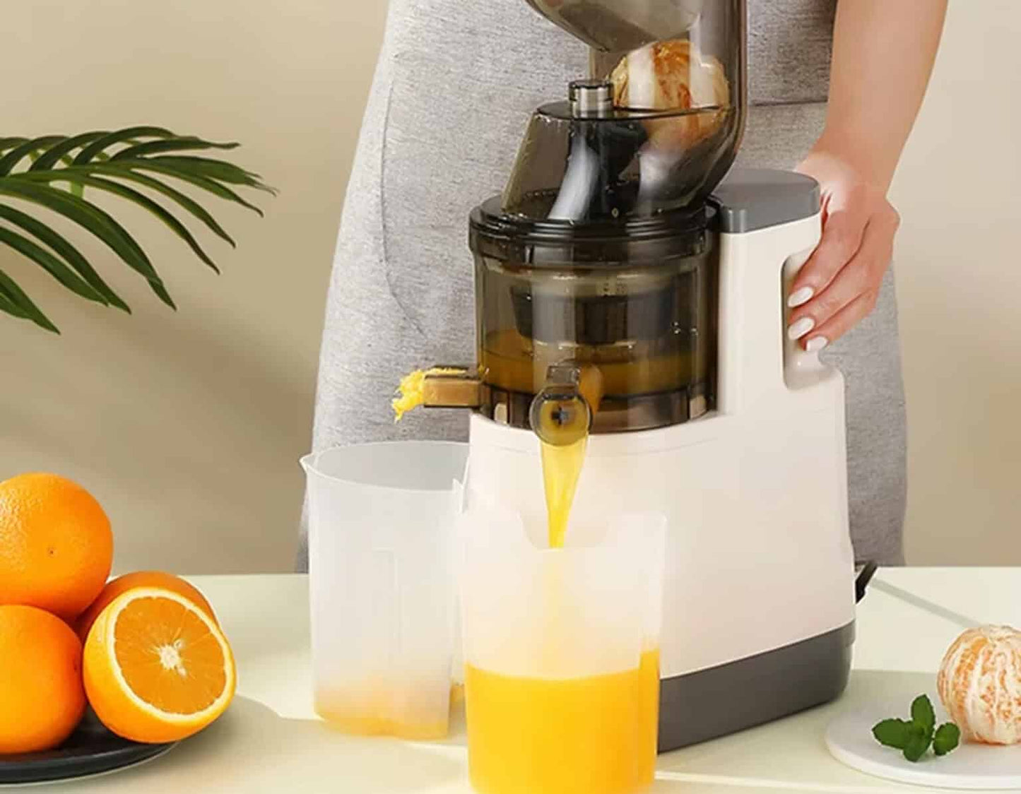 Extractor de Jugos con Sistema de Filtrado Activo y Componentes Food-Grade