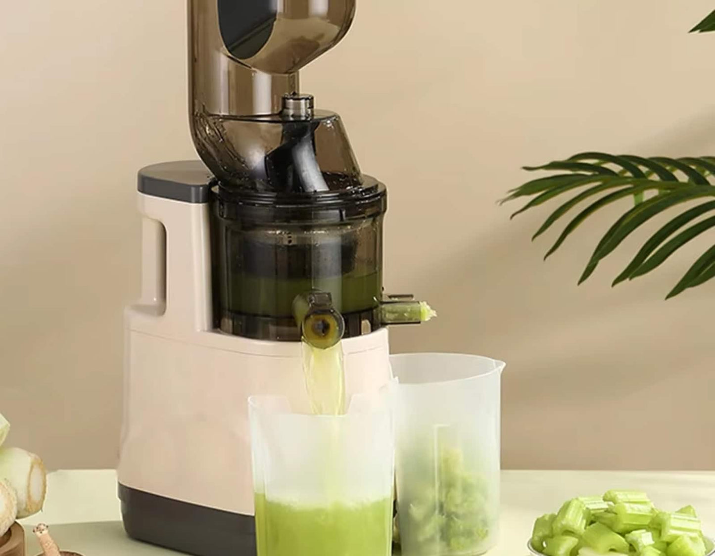 Extractor de Jugos con Sistema de Filtrado Activo y Componentes Food-Grade